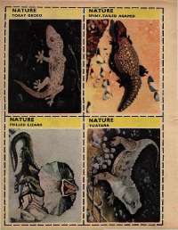 August 1971 English Chandamama magazine page 32