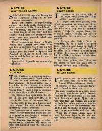 August 1971 English Chandamama magazine page 31