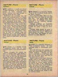 January 1972 English Chandamama magazine page 34