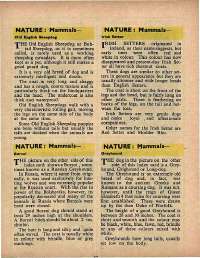 March 1972 English Chandamama magazine page 42
