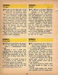 October 1972 English Chandamama magazine page 34