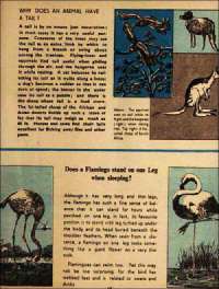 November 1973 English Chandamama magazine page 63