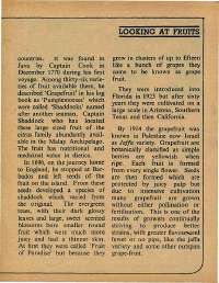 January 1975 English Chandamama magazine page 31
