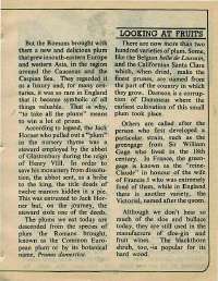August 1975 English Chandamama magazine page 31