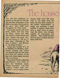 December 1975 English Chandamama magazine page 30