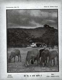May 1964 Hindi Chandamama magazine page 75