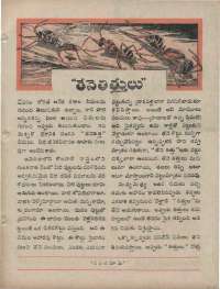 January 1960 Telugu Chandamama magazine page 81