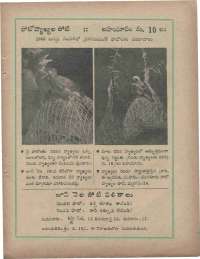 June 1960 Telugu Chandamama magazine page 85