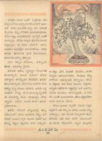 October 1961 Telugu Chandamama magazine page 63