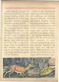 February 1962 Telugu Chandamama magazine page 58