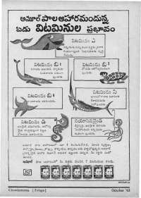October 1963 Telugu Chandamama magazine page 13