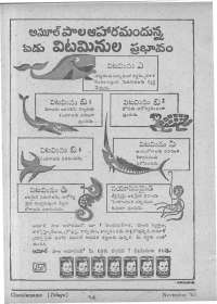 November 1963 Telugu Chandamama magazine page 20