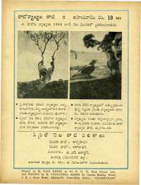 May 1964 Telugu Chandamama magazine page 74