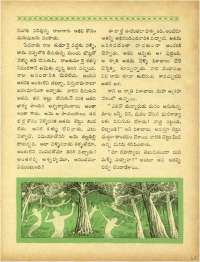 May 1964 Telugu Chandamama magazine page 53