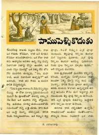 November 1964 Telugu Chandamama magazine page 41