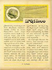November 1967 Telugu Chandamama magazine page 41