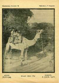 December 1968 Telugu Chandamama magazine page 74