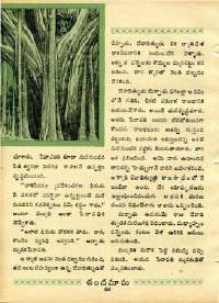 April 1970 Telugu Chandamama magazine page 58