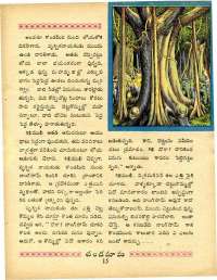 June 1970 Telugu Chandamama magazine page 29