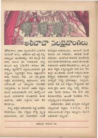 January 1971 Telugu Chandamama magazine page 47