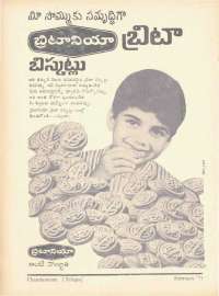 February 1971 Telugu Chandamama magazine page 73