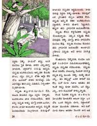 April 1971 Telugu Chandamama magazine page 36