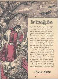 June 1971 Telugu Chandamama magazine page 23