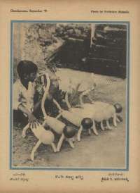 September 1971 Telugu Chandamama magazine page 72