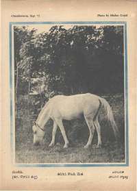 September 1972 Telugu Chandamama magazine page 73