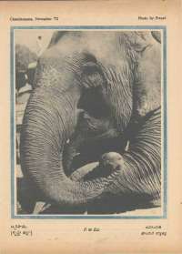 November 1972 Telugu Chandamama magazine page 71