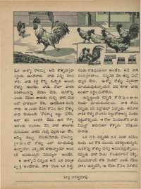 August 1973 Telugu Chandamama magazine page 31