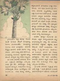 June 1974 Telugu Chandamama magazine page 36