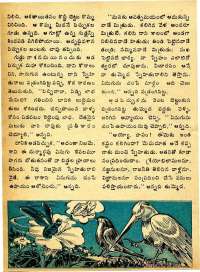 January 1975 Telugu Chandamama magazine page 8