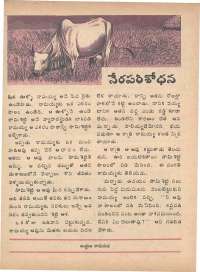 May 1975 Telugu Chandamama magazine page 44