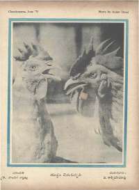 June 1975 Telugu Chandamama magazine page 62