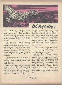 June 1975 Telugu Chandamama magazine page 36