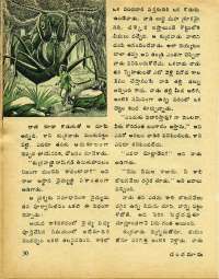 December 1975 Telugu Chandamama magazine page 34
