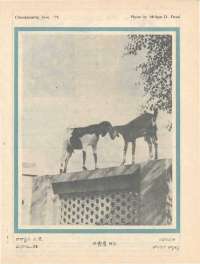 June 1976 Telugu Chandamama magazine page 61