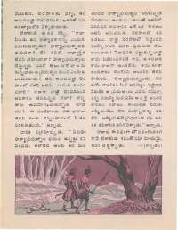 February 1977 Telugu Chandamama magazine page 24