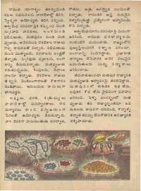 May 1978 Telugu Chandamama magazine page 58