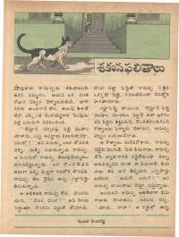 September 1979 Telugu Chandamama magazine page 40